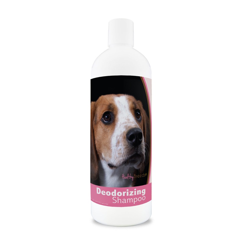 American English Coonhound Deodorizing Shampoo 16 oz