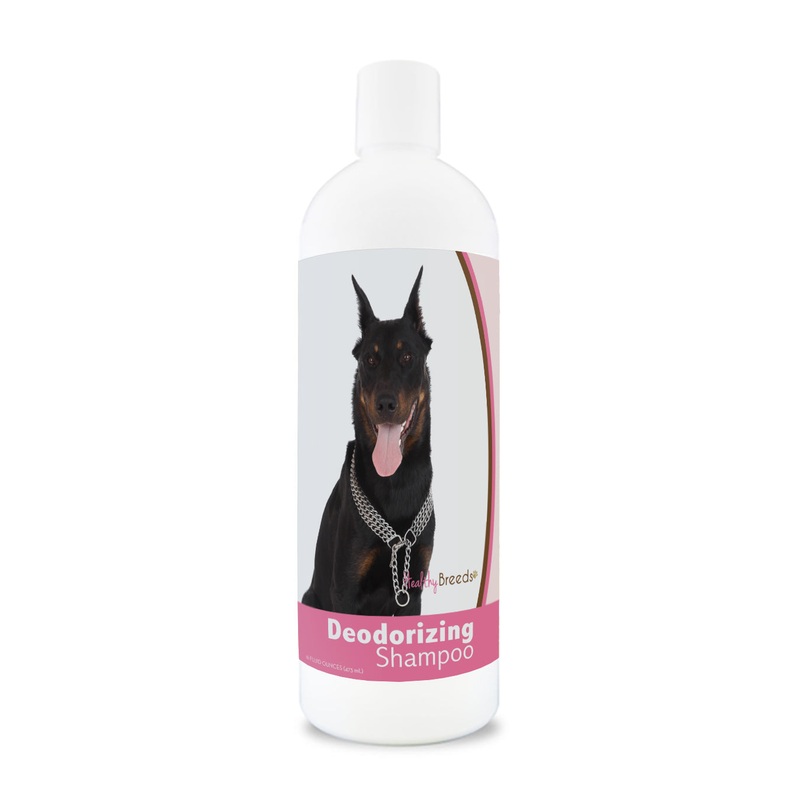 Beauceron Deodorizing Shampoo 16 oz