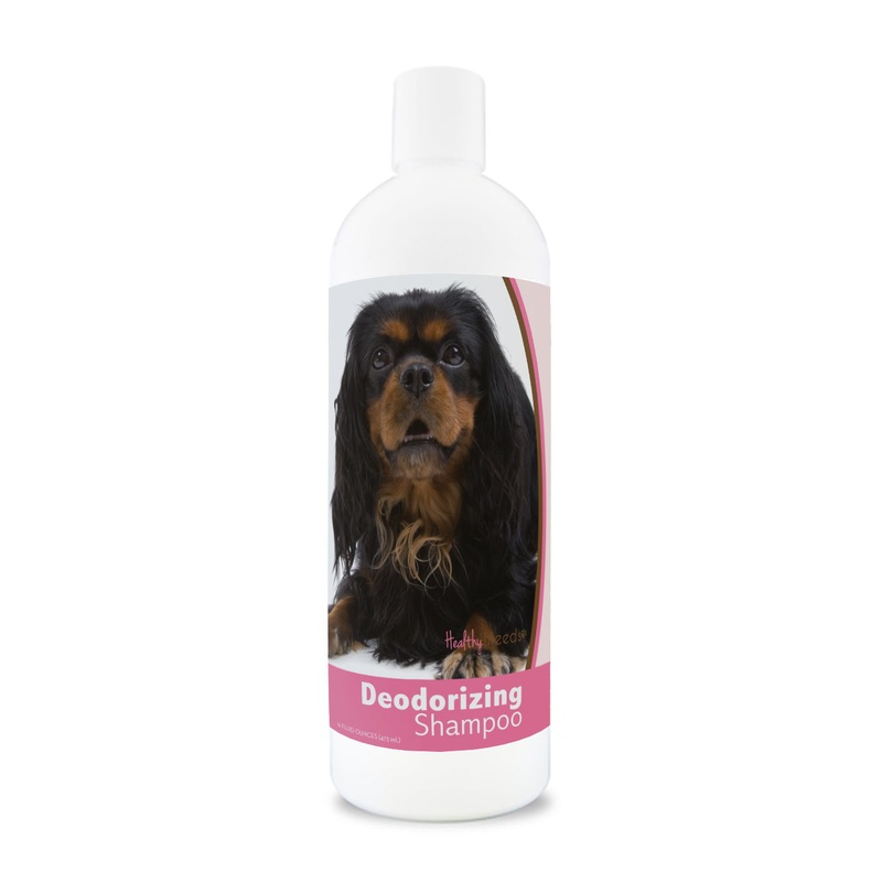 English Toy Spaniel Deodorizing Shampoo 16 oz
