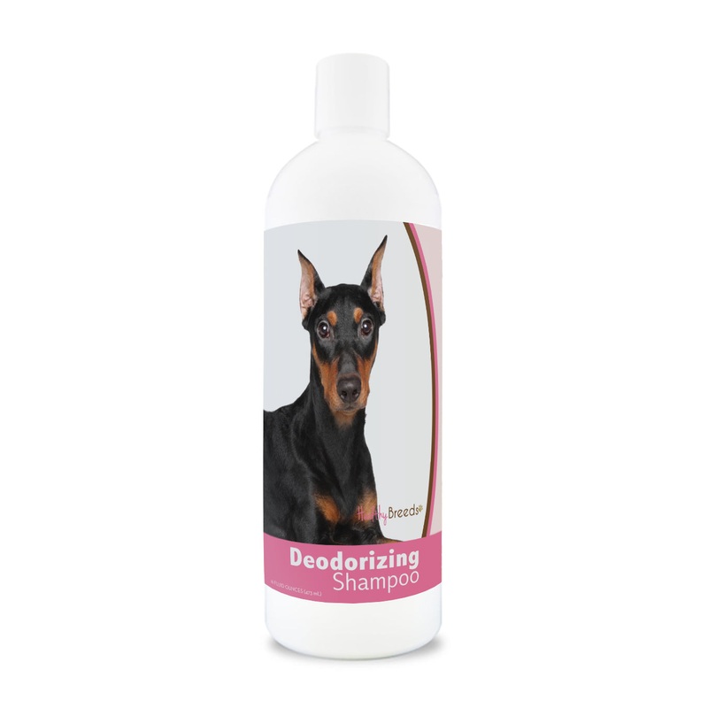 German Pinscher Deodorizing Shampoo 16 oz