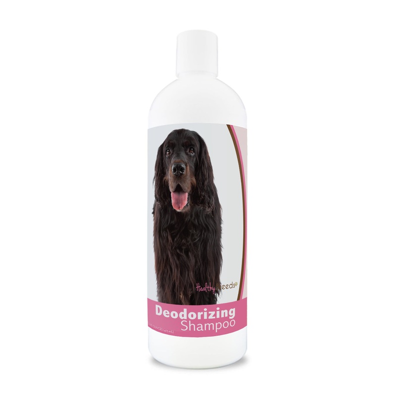 Gordon Setter Deodorizing Shampoo 16 oz