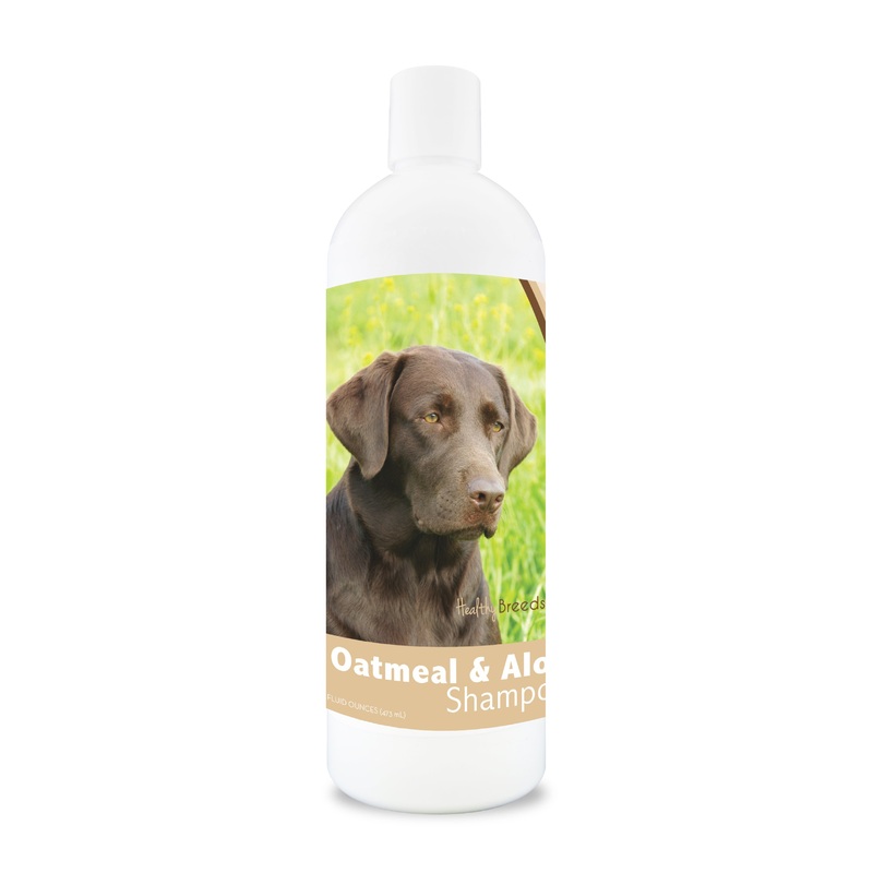 Labrador Retriever Oatmeal Shampoo with Aloe 16 oz