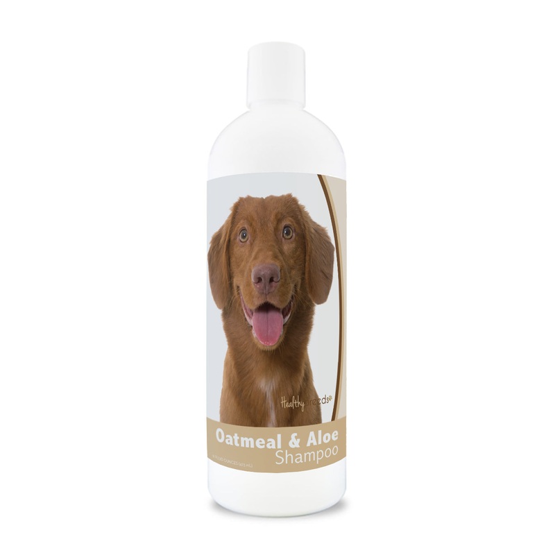 Nova Scotia Duck Tolling Retriever Oatmeal Shampoo with Aloe 16 oz