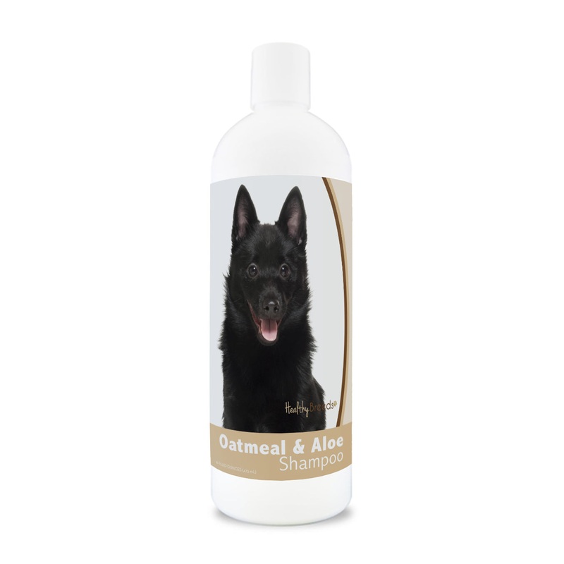 Schipperke Oatmeal Shampoo with Aloe 16 oz