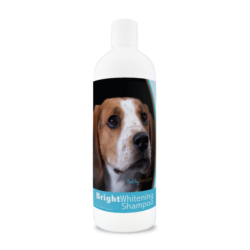 American English Coonhound Bright Whitening Shampoo 12 oz
