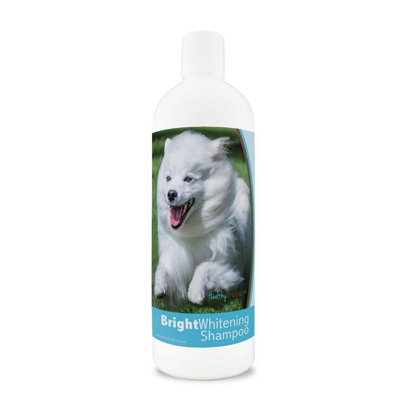 American Eskimo Dog Bright Whitening Shampoo 12 oz