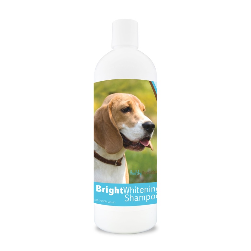 Beagle Bright Whitening Shampoo 12 oz
