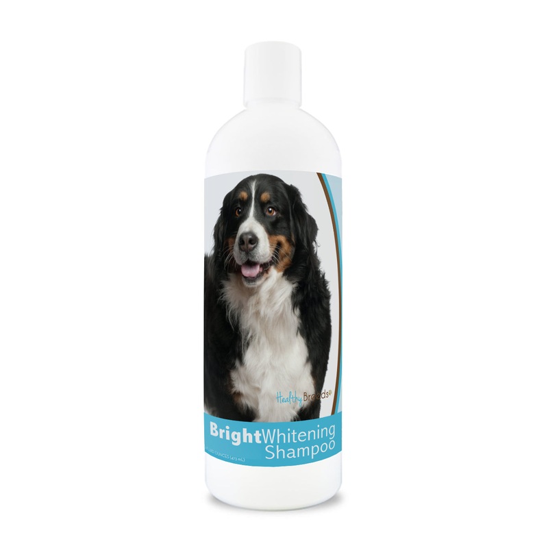 Bernese Mountain Dog Bright Whitening Shampoo 12 oz