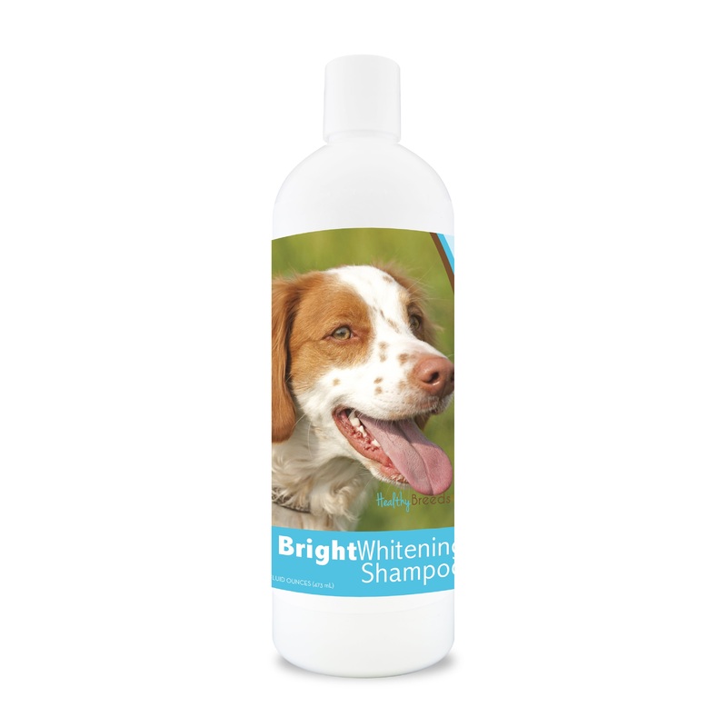Brittany Bright Whitening Shampoo 12 oz
