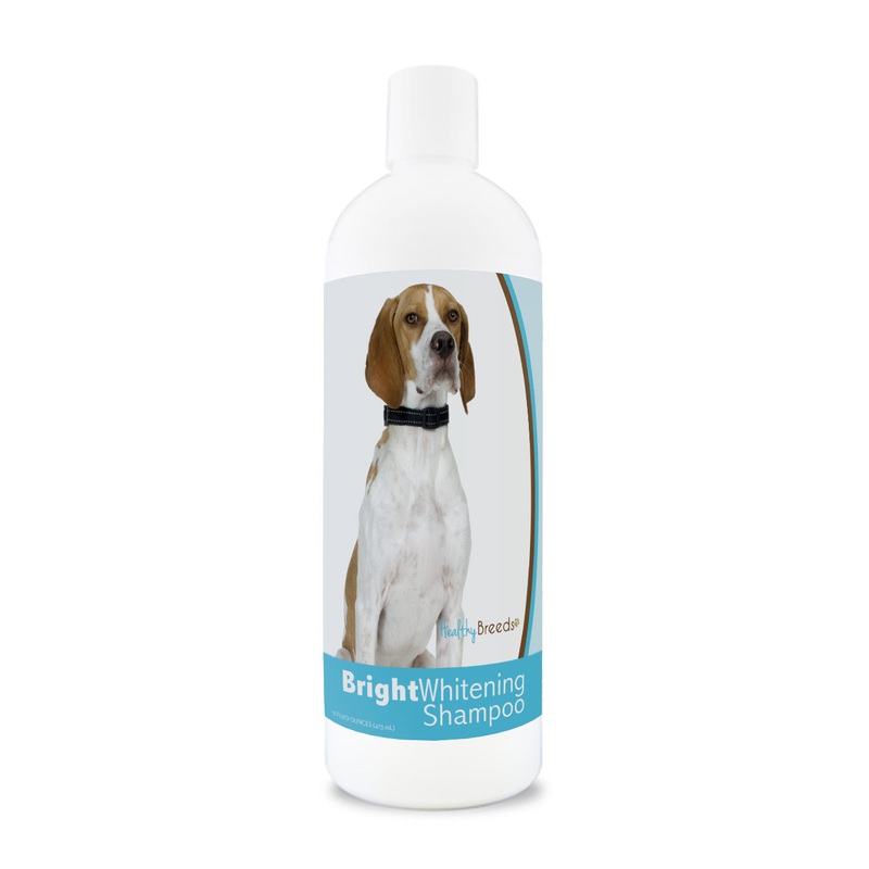 English Pointer Bright Whitening Shampoo 12 oz