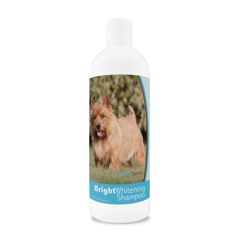 Norwich Terrier Bright Whitening Shampoo 12 oz