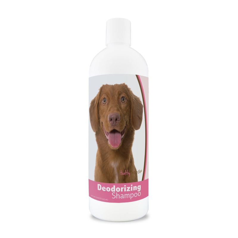 Nova Scotia Duck Tolling Retriever Deodorizing Shampoo 16 oz