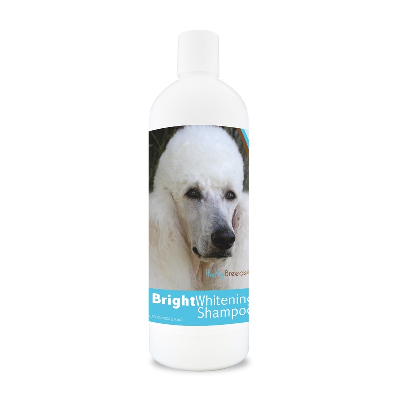 Poodle Bright Whitening Shampoo 12 oz