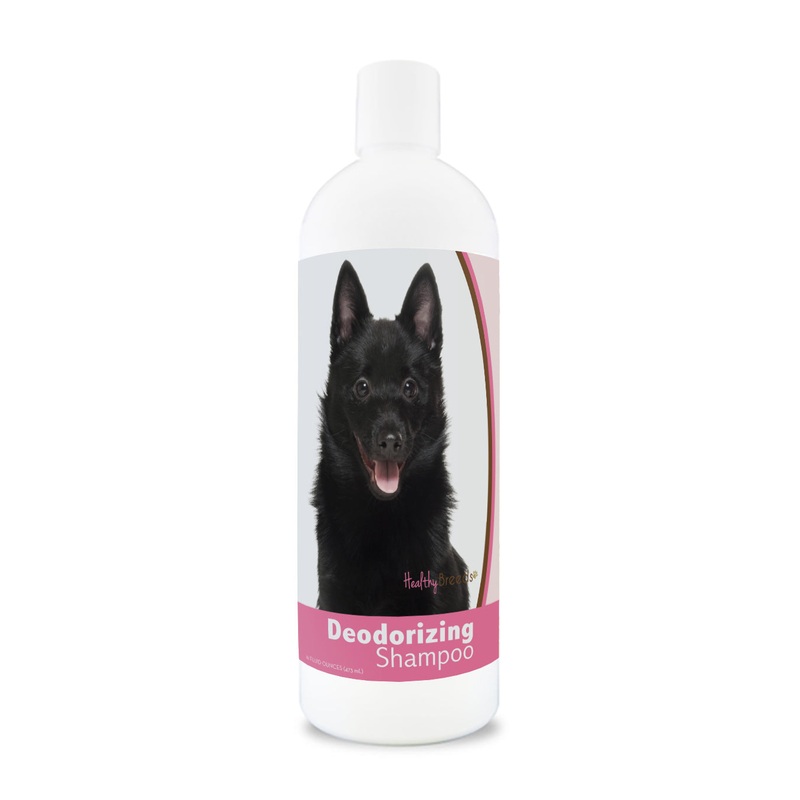Schipperke Deodorizing Shampoo 16 oz