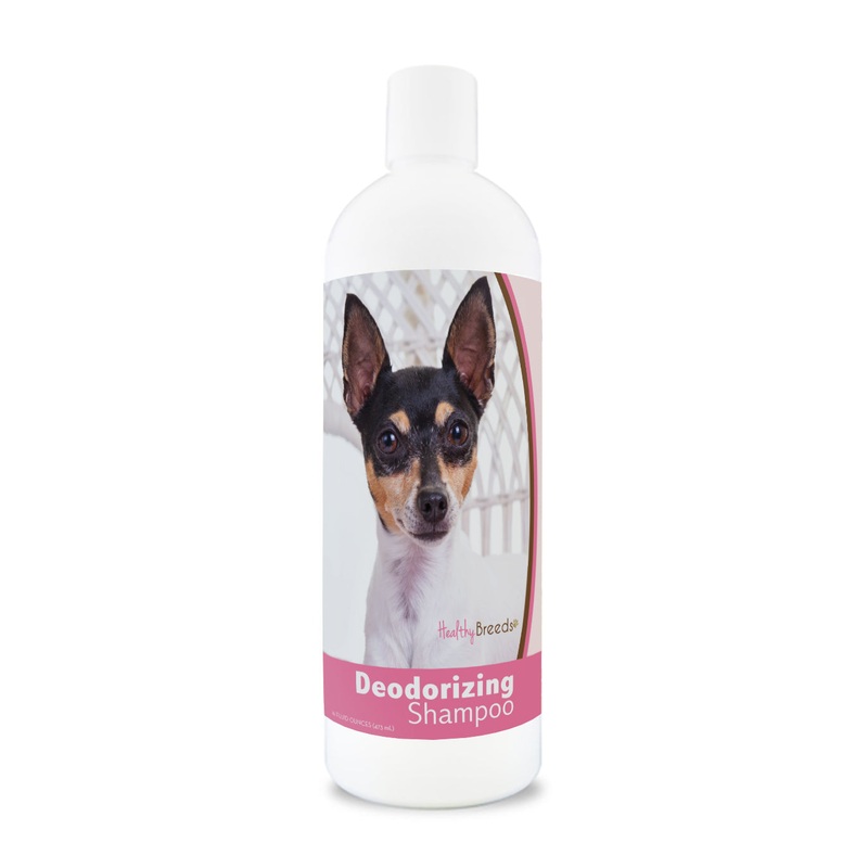 Toy Fox Terrier Deodorizing Shampoo 16 oz