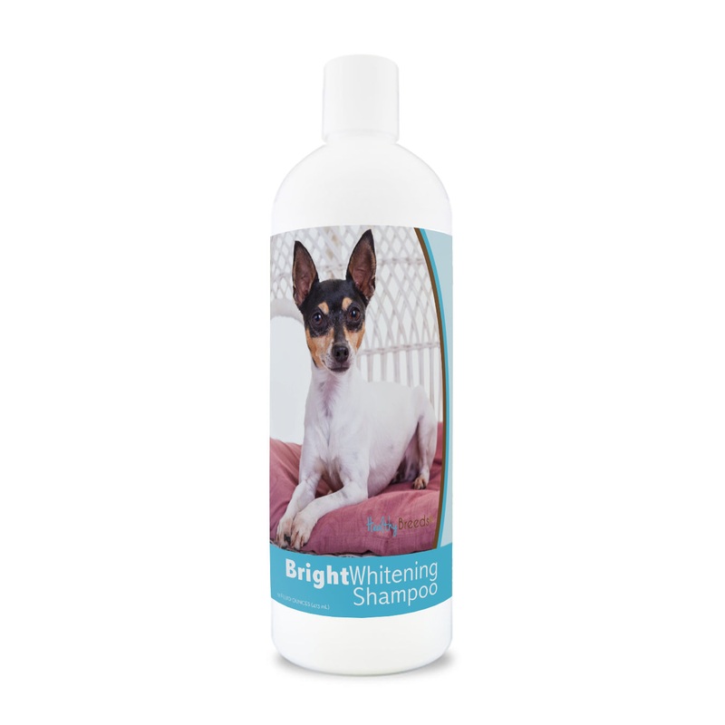 Toy Fox Terrier Bright Whitening Shampoo 12 oz