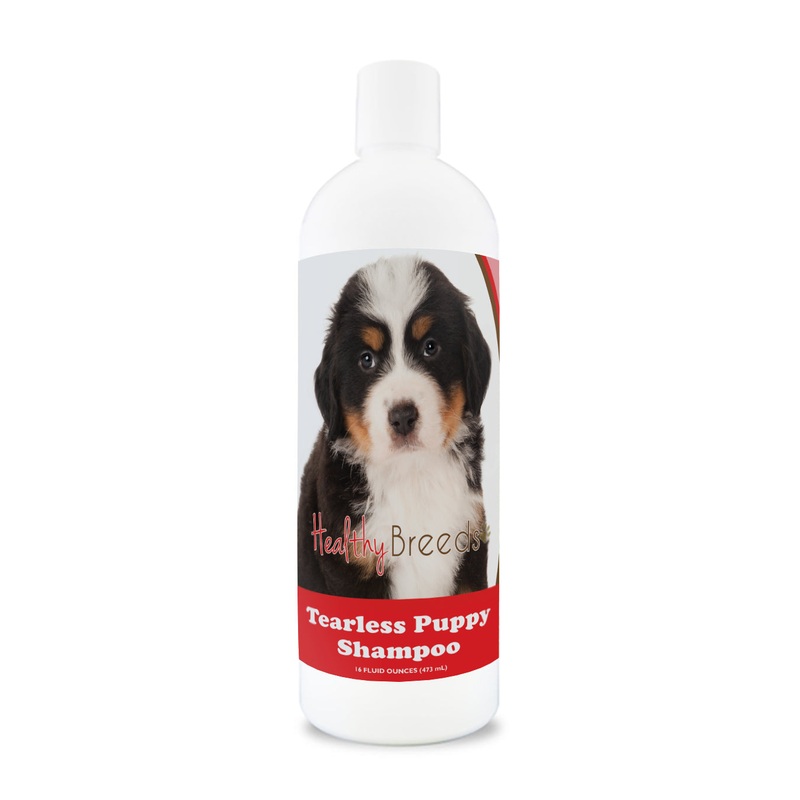 Bernese Mountain Dog Tearless Puppy Dog Shampoo 16 oz