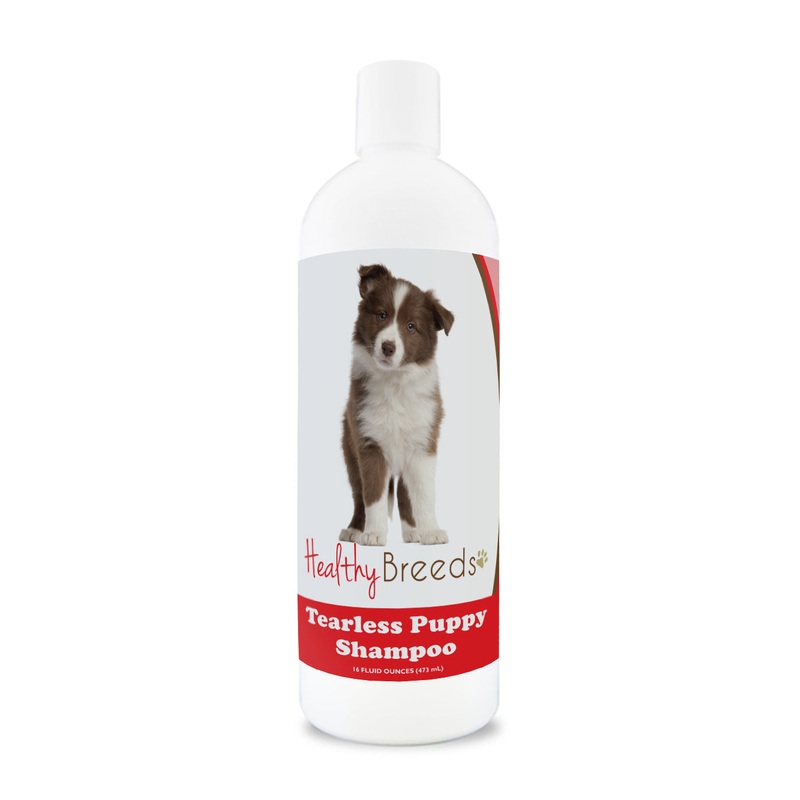 Border Collie Tearless Puppy Dog Shampoo 16 oz