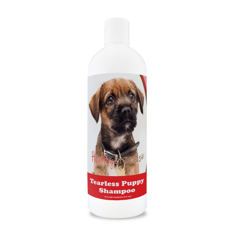 Border Terrier Tearless Puppy Dog Shampoo 16 oz