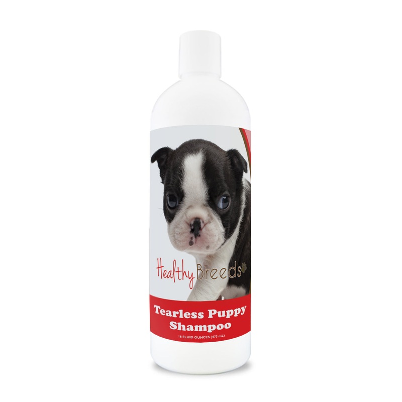 Boston Terrier Tearless Puppy Dog Shampoo 16 oz