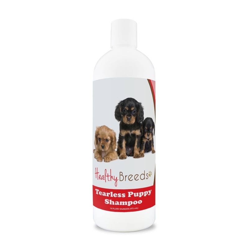 Cavalier King Charles Spaniel Tearless Puppy Dog Shampoo 16 oz
