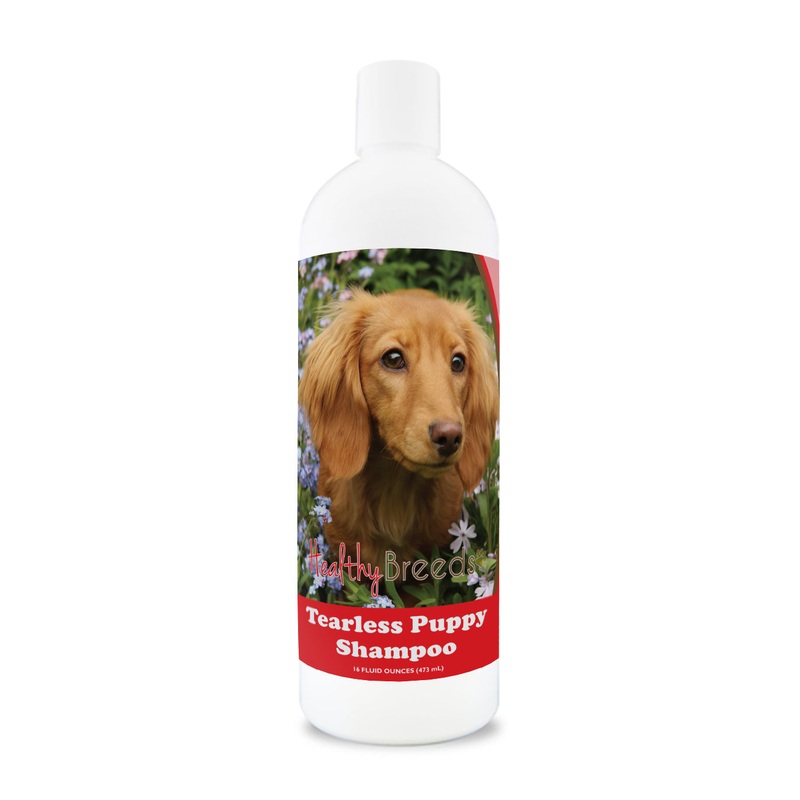 Dachshund Tearless Puppy Dog Shampoo 16 oz