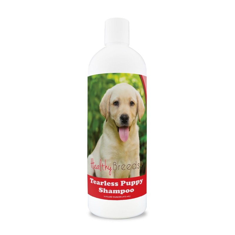 Havanese Tearless Puppy Dog Shampoo 16 oz