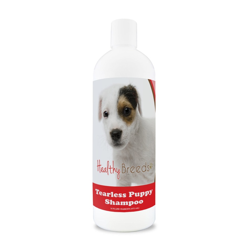 Parson Russell Terrier Tearless Puppy Dog Shampoo 16 oz