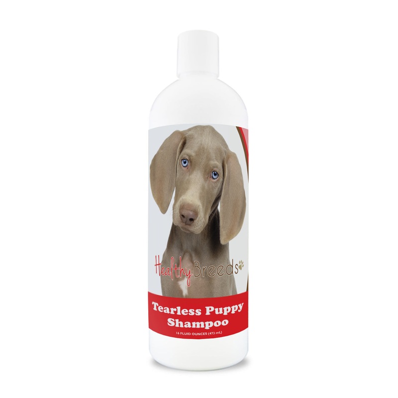 Weimaraner Tearless Puppy Dog Shampoo 16 oz