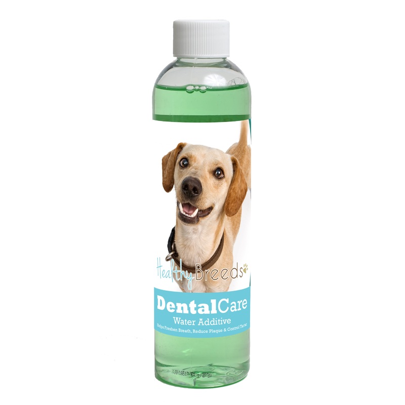 Chiweenie Dental Rinse for Dogs 8 oz