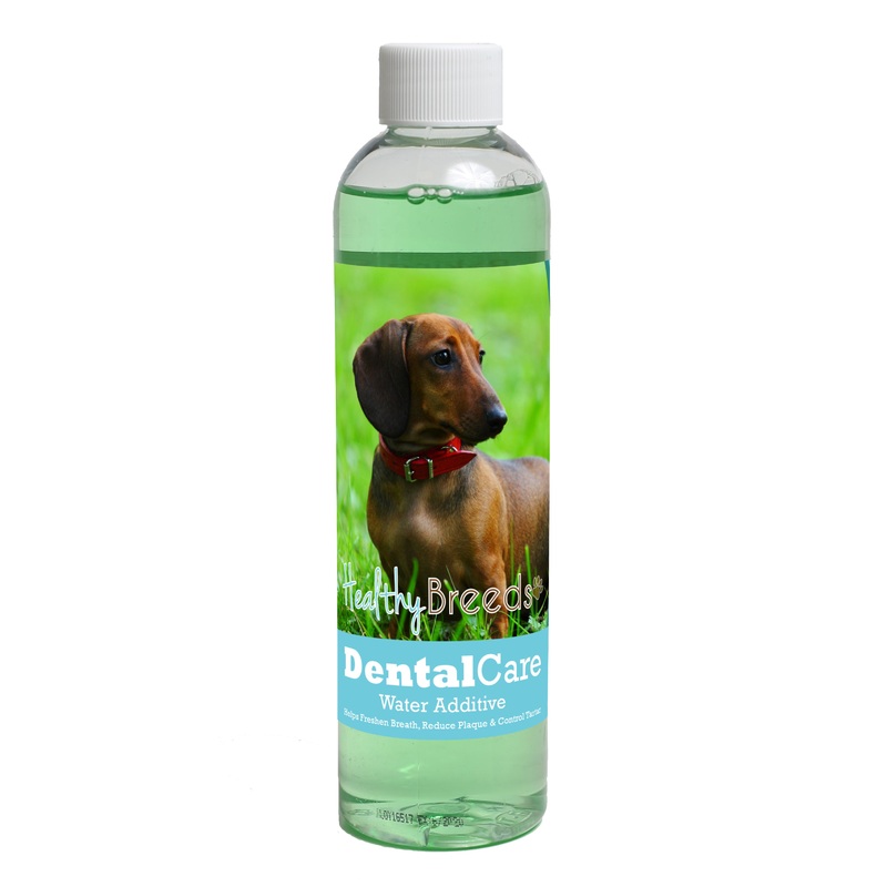 Dachshund Dental Rinse for Dogs 8 oz