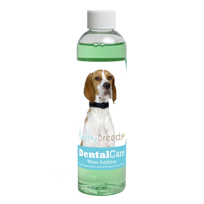 English Pointer Dental Rinse for Dogs 8 oz