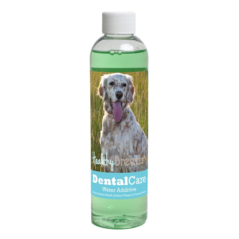 English Setter Dental Rinse for Dogs 8 oz