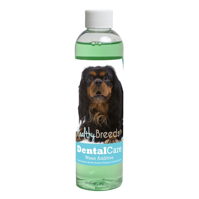 English Toy Spaniel Dental Rinse for Dogs 8 oz