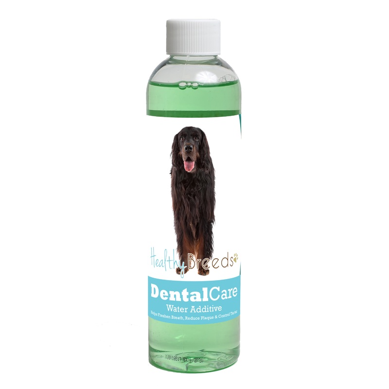 Gordon Setter Dental Rinse for Dogs 8 oz