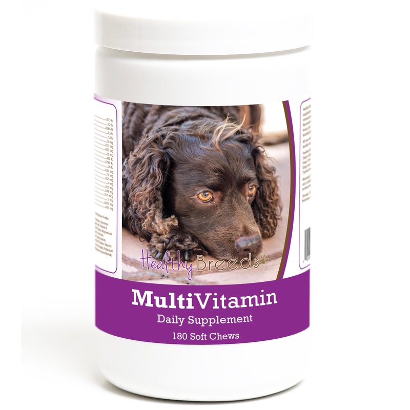American Water Spaniel Multivitamin Soft Chew for Dogs 180 Count