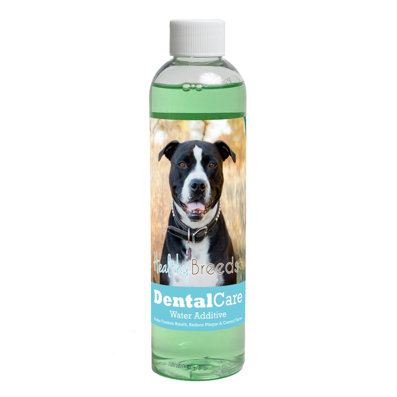 Pit Bull Dental Rinse for Dogs 8 oz