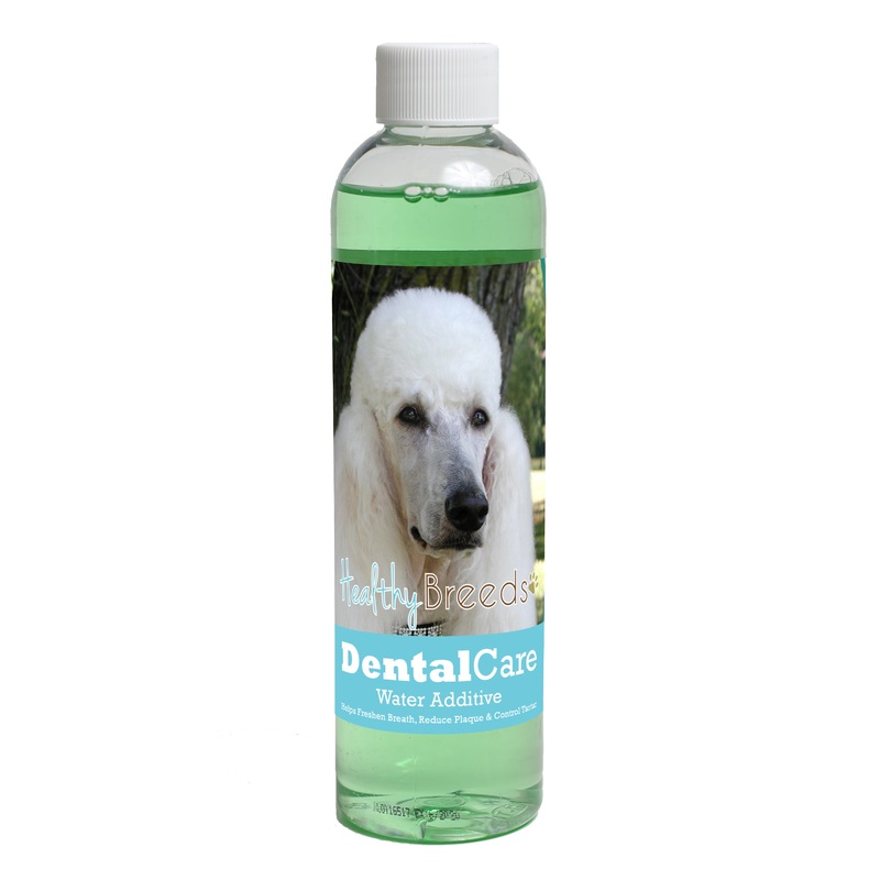 Poodle Dental Rinse for Dogs 8 oz