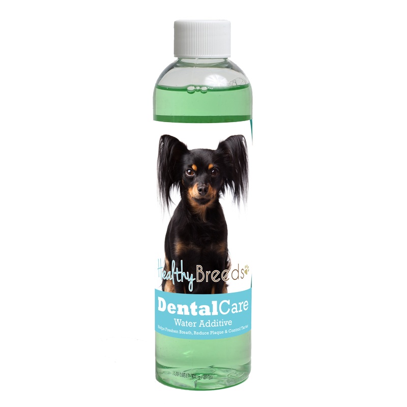 Russian Toy Terrier Dental Rinse for Dogs 8 oz