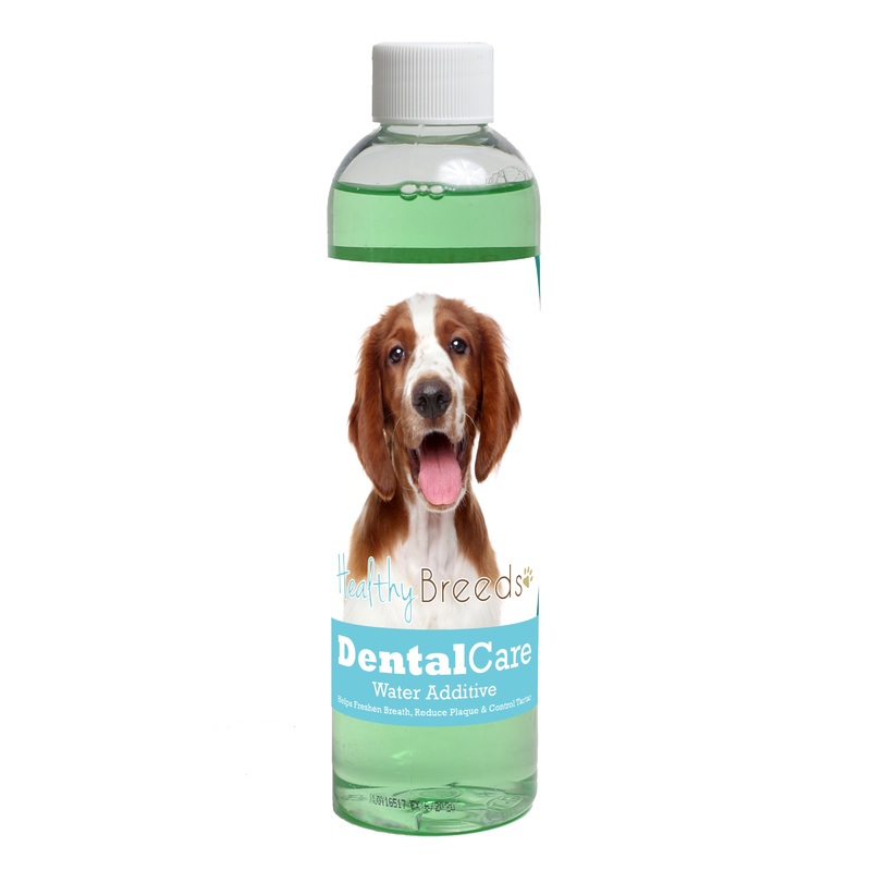 Welsh Springer Spaniel Dental Rinse for Dogs 8 oz