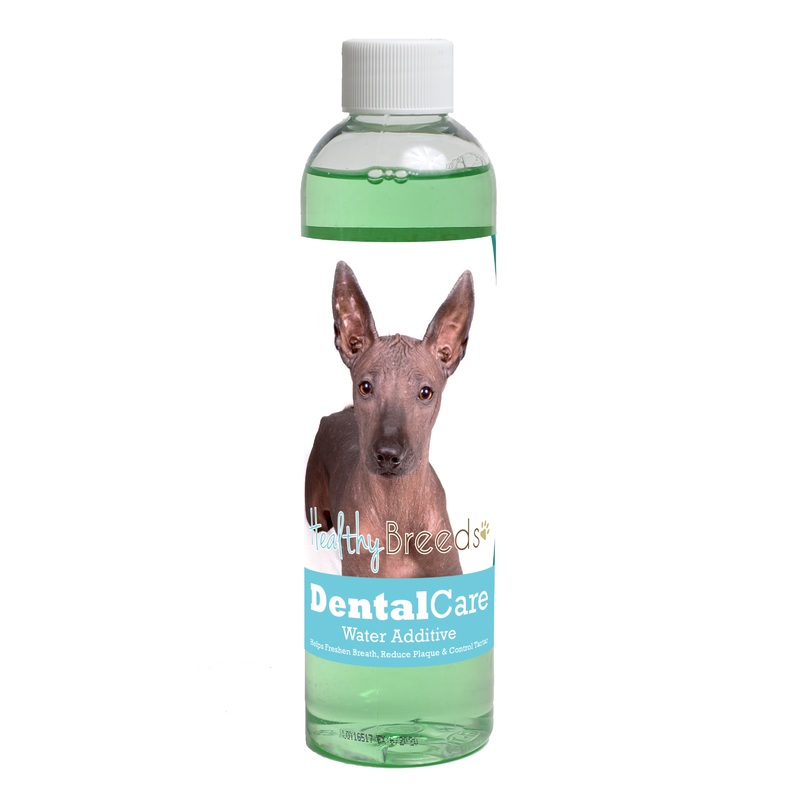 Xoloitzcuintli Dental Rinse for Dogs 8 oz