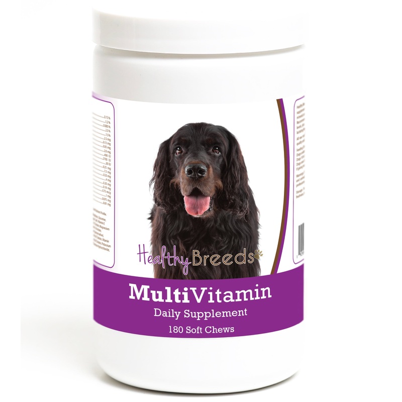Gordon Setter Multivitamin Soft Chew for Dogs 180 Count