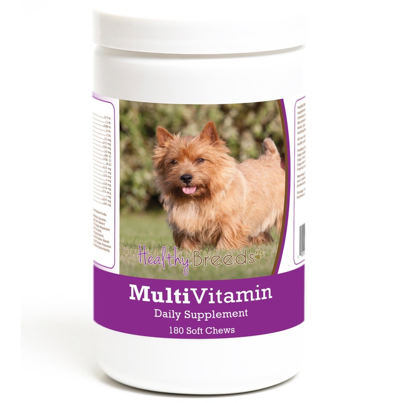 Norwich Terrier Multivitamin Soft Chew for Dogs 180 Count