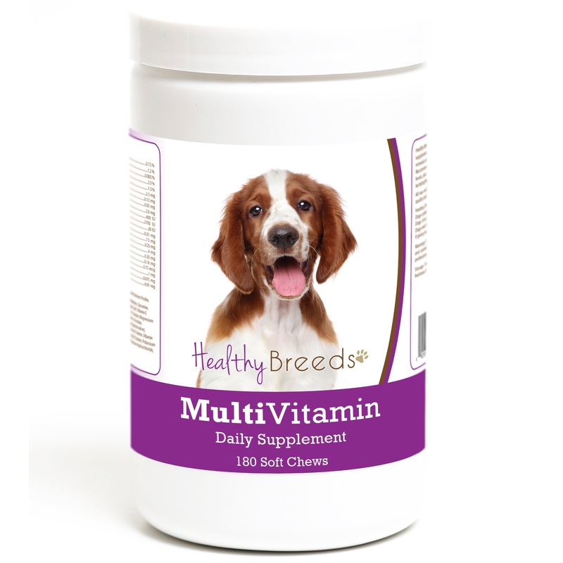 Welsh Springer Spaniel Multivitamin Soft Chew for Dogs 180 Count