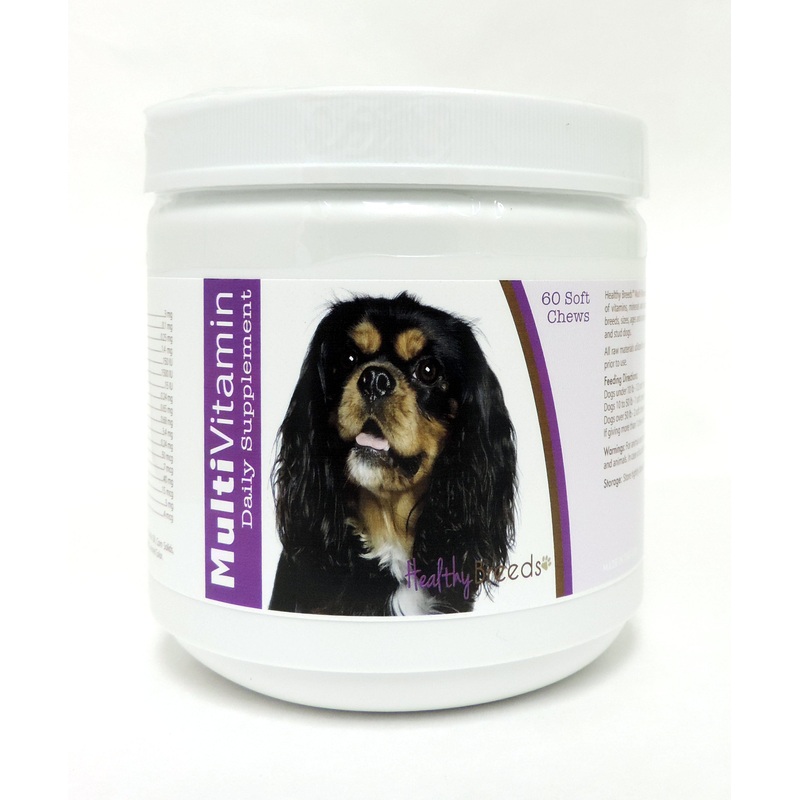 Cavalier King Charles Spaniel Multi-Vitamin Soft Chews 60 Count