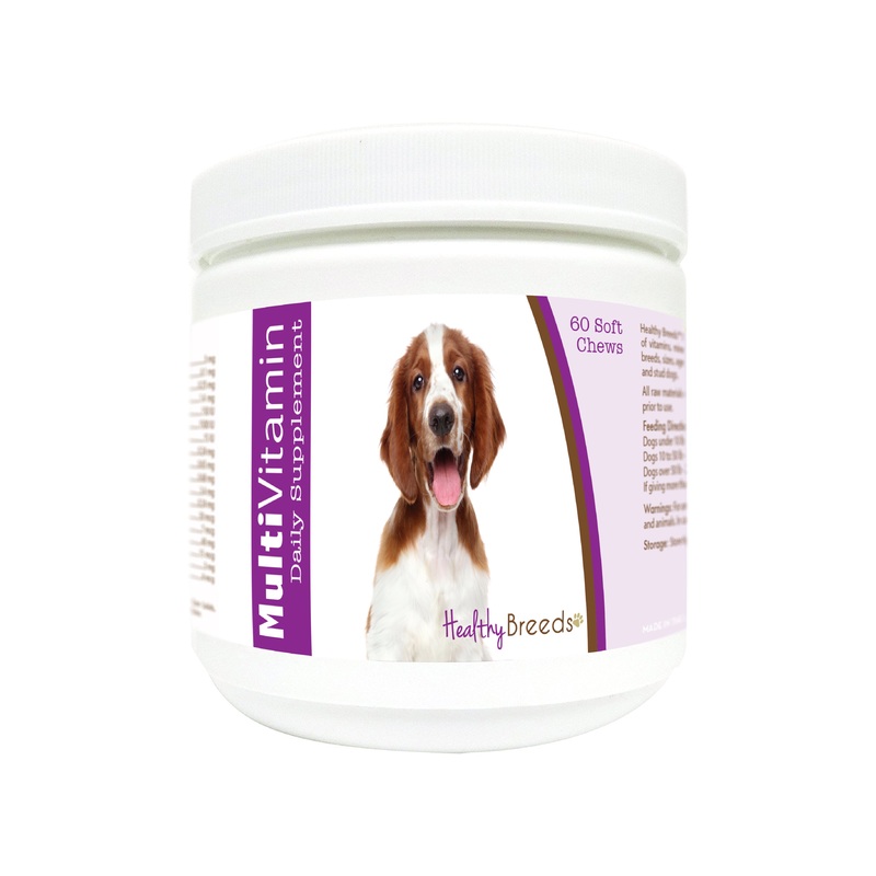 Welsh Springer Spaniel Multi-Vitamin Soft Chews 60 Count