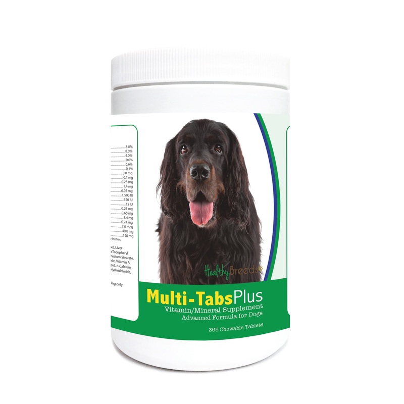 Gordon Setter Multi-Tabs Plus Chewable Tablets 365 Count