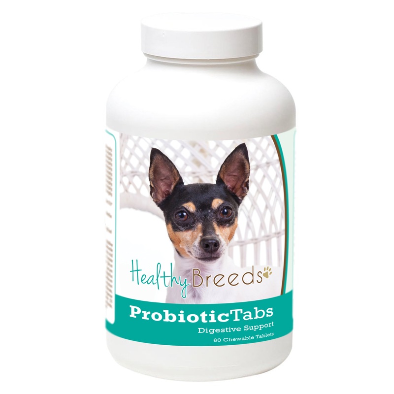 Toy Fox Terrier Probiotic and Digestive Support for Dogs 60 Count