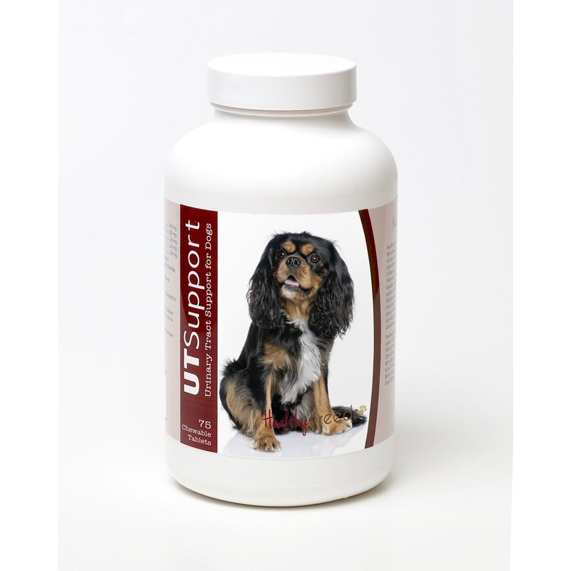 Cavalier King Charles Spaniel Cranberry Chewables 75 Count