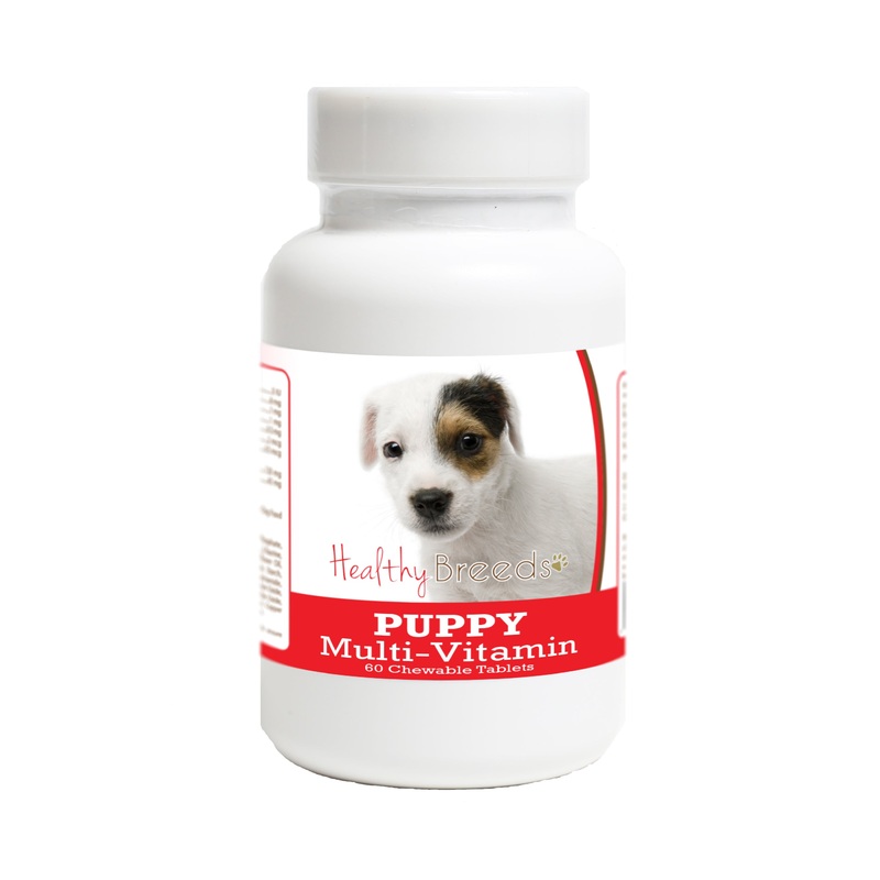 Parson Russell Terrier Puppy Dog Multivitamin Tablet 60 Count
